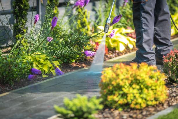 Best House Exterior Washing  in Amboy, IL
